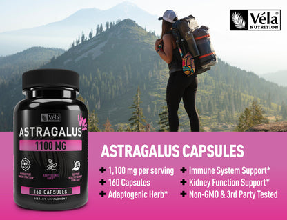 Astragalus Capsules