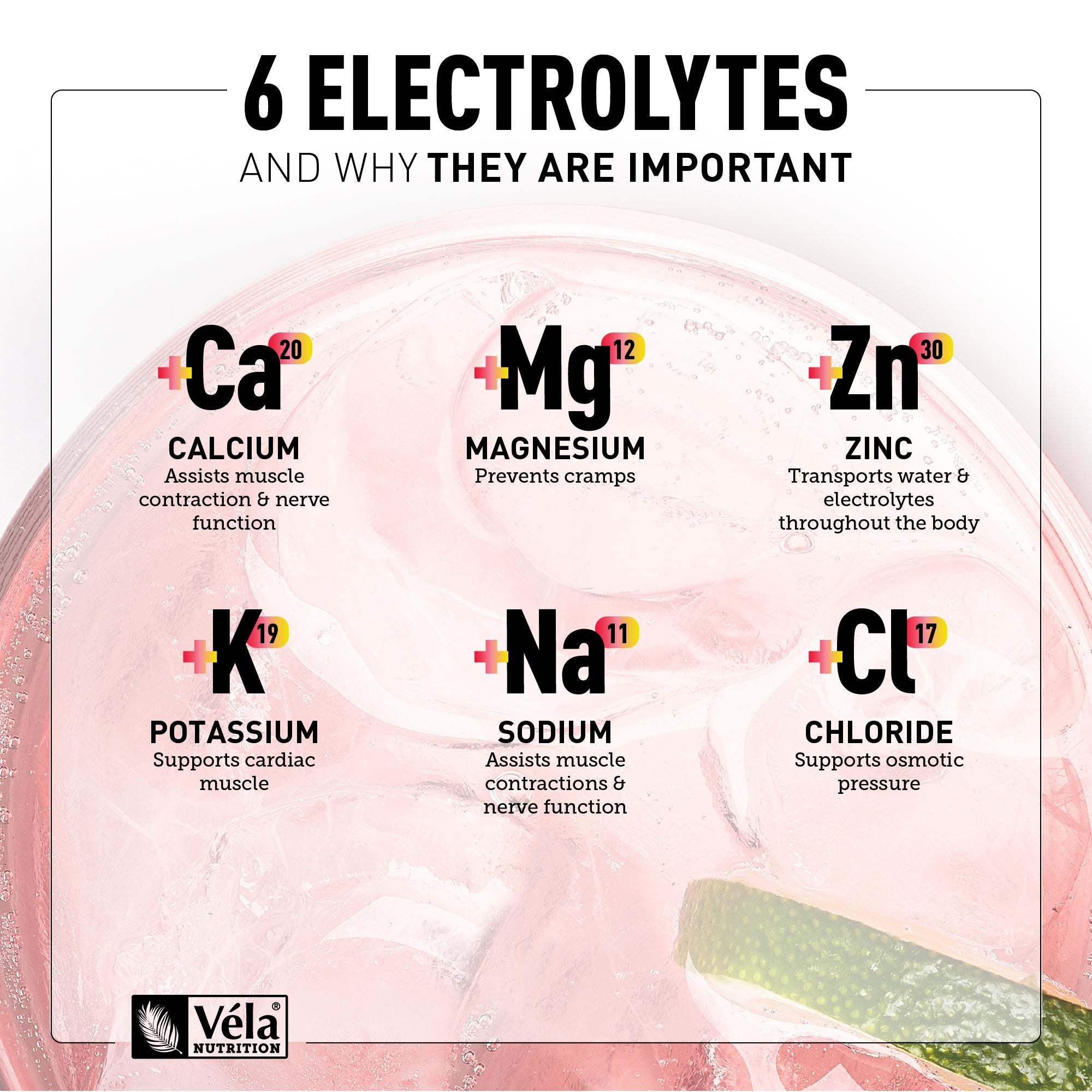 Electrolyte Powder + Energy