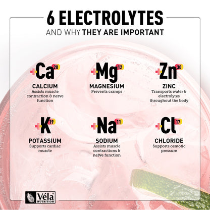 Electrolyte Powder + Energy