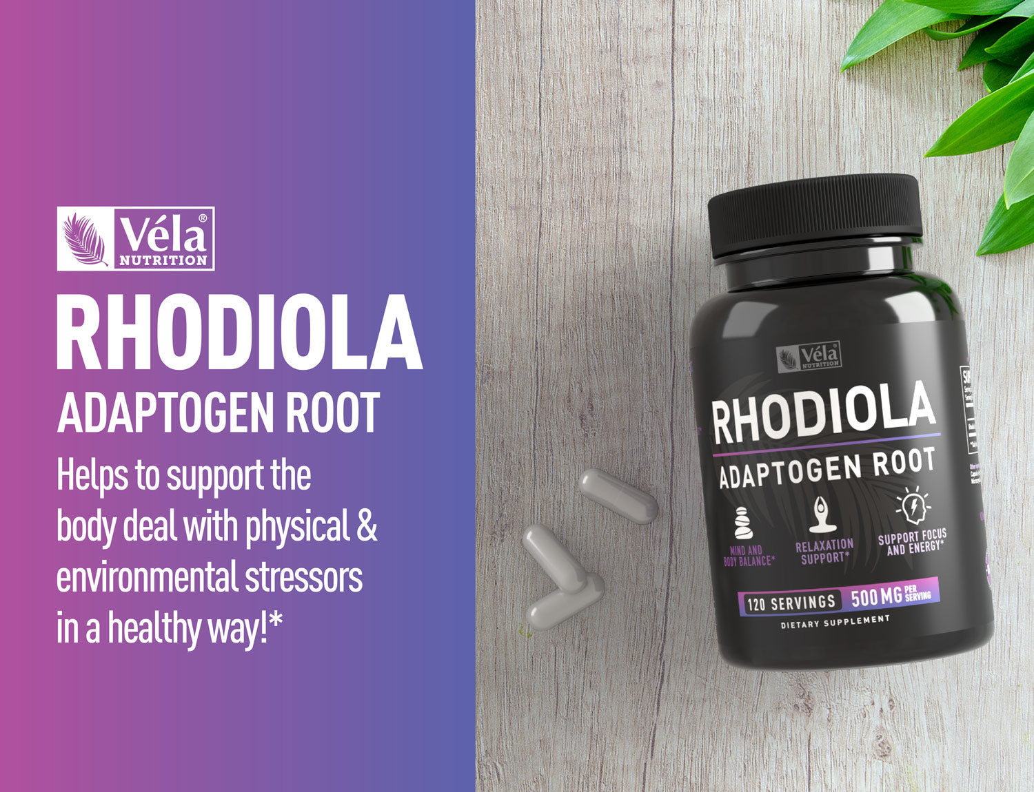 Rhodiola Capsules